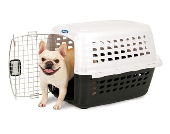 Petmate compass carrier best sale